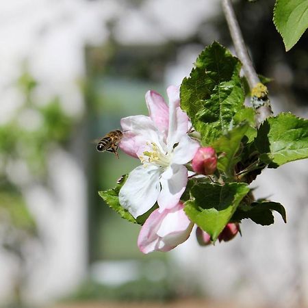 Les Gites Du Clos Saint-Martin Maule ภายนอก รูปภาพ