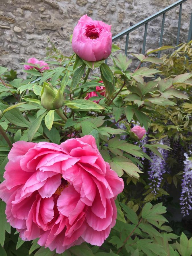 Les Gites Du Clos Saint-Martin Maule ภายนอก รูปภาพ